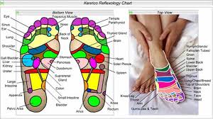 Foot Reflexology Charts Reflexology Foot Chart Tips