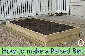 Vegetable Garden Raised Beds