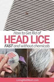 Hair dye might kill some nits but most of them are designed to resist many harsh elements. How To Get Rid Of Lice Nits Without Chemicals Living Well Mom