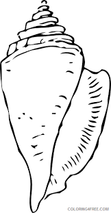 Clam shell on the beach: Shell Coloring Pages Sea Shells At Printable Coloring4free Coloring4free Com