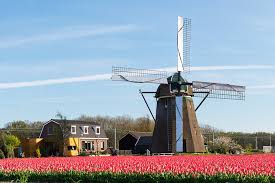 Jobs With Relocation To The Netherlands