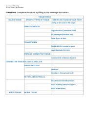 Worksheet Tissues Chart Doc Anatomy And Physiology