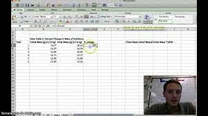 calculate percent change in excel you