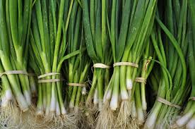 how to green onions in the