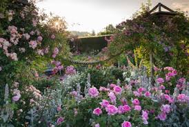 rhs garden rosemoor