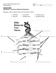 View dna_structure_and_replication_worksheet.pdf from bio 1 at clements h s. Dna Structure And Replication Worksheet