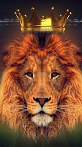 lion king crown king crown art