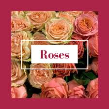 These deals are popular best sellers but whether they are available in a local area depends on what a florist has. New Braunfels Florist Petals To Go Local Flower Delivery New Braunfels Tx 78130