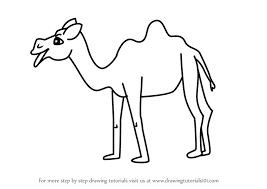 Camel clipart easy, camel easy transparent free for download on webstockreview 2020. How To Draw A Cartoon Camel Video Drawingtutorials101 Com