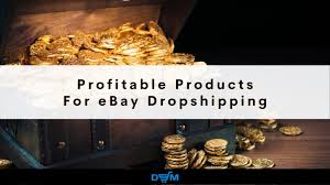 ebay dropshipping in recommended niches