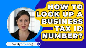 how to look up a business tax id number
