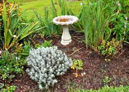 How To Clean A Cement Bird Bath In Just