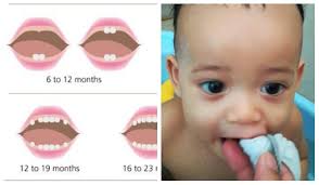 Caranya ialah dengan menyapu sedikit ubat gigi berfluorida ke atas kain lembut atau berus gigi bayi dan kemudian. Doktor Kongsi Cara Amalan Jaga Gigi Anak Guna Kain Lembap Dari Umur 10 Bulan
