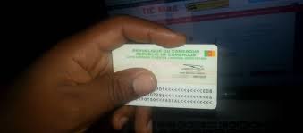 Cameroun : Les nouvelles cartes d'identité comporteront des puces biométriques - Digital Business Africa