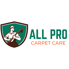 all pro carpet care professional