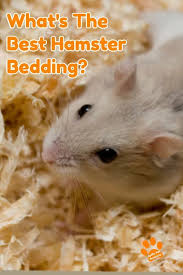 Best Bedding For Syrian Hamster
