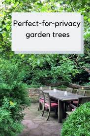 Garden Trees