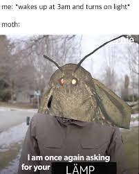you picked the wrong LÄMP fool! : r/memes