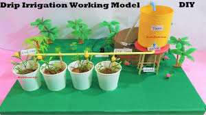 drip irrigation working model science