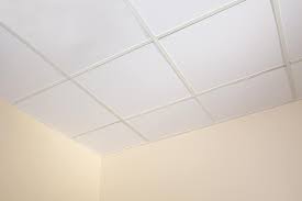 duroglas plus pvc clean room ceiling