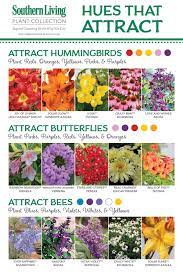 What flowers attract butterflies and % hummingbirds? Natural Attraction Bee Garden Plants Hummingbird Garden