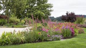 A Fresh Take On Pollinator Garden Design
