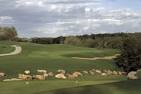Home - Falcon Valley Golf Course