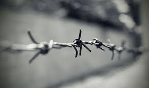 Image result for holocaust photos