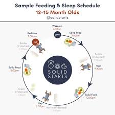 baby feeding schedules by month from