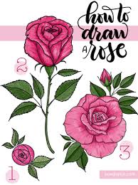 drawings of roses how to draw a rose