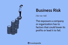 what is business risk definition
