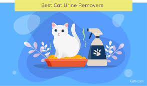 cat urine removers enzyme cleaners