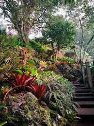 Visit Us Eden Garden
