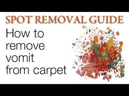 how to clean vomit from carpet spot