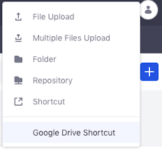linking to files on google drive