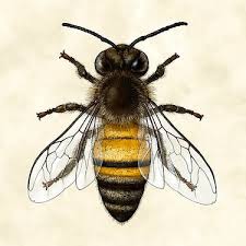 Check spelling or type a new query. Bee Tattoo Meaning