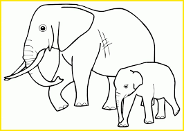 Rumah selain berfungsi untuk melindungi dari panas dari hujan. 21 Gambar Sketsa Gajah Unik Lucu Terbaru Terlengkap Gambar Sketsa Gajah Unik Lucu Terbaru Terlengkap Sindunesia