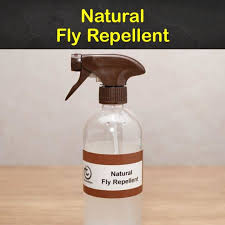 natural fly repellent