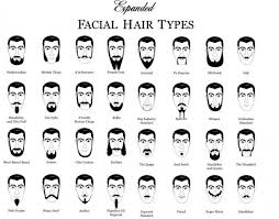 Beard Chart Women Find Men With A Heavy Stubble Light Beard