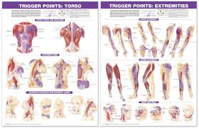 trigger point therapy the tranquil table