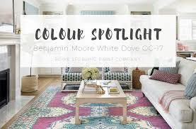 Officiële teampagina van moc'17 vr1. Colour Spotlight Benjamin Moore White Dove Oc 17 Rowe Spurling Paint Company