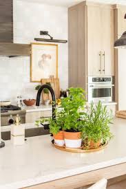 Countertop Herb Garden With Dipped Pots