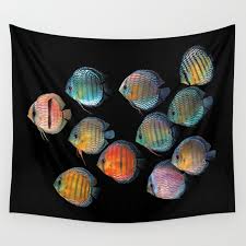 Wild Discus Fish Wall Tapestry By