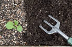 how to recharge soil in containers to