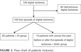 Flow Chart Of Patients Inclusion Download Scientific Diagram