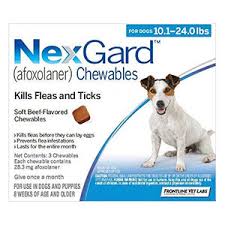 Before & after results for my dog. Nexgard For Dogs Buy Nexgard Chewables For Dogs Online In Us Bestvetcare Com
