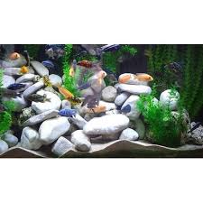 5 15cm artificial aquarium stones