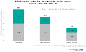 Infant Mortality Rates Due To Prematurity Vs Other Causes