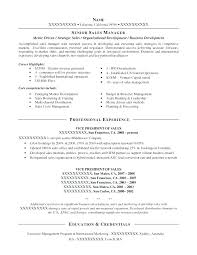 Resume Examples Business Management Resume Samples Vice President Of