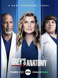 Grey's Anatomy: Guide des saisons - AlloCiné